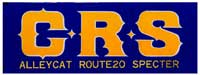 CRS-青黄文字