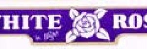 WHITE ROSE