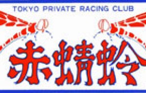 赤蜻蛉2
